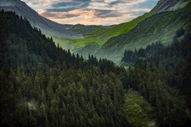 森林系列 