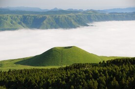 森林系列 