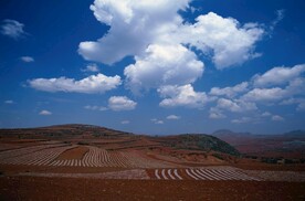 天空 梯田