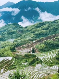 美景