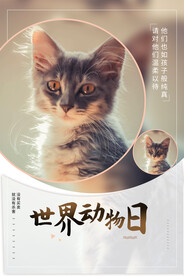 世界动物日海报