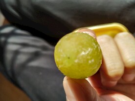 水果葡萄