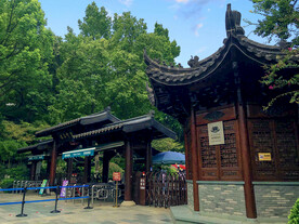 西湖风景