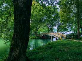 西湖风景