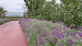 公路