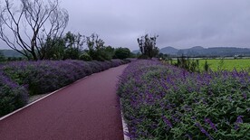公路