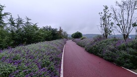公路