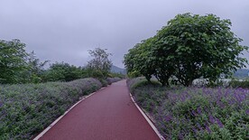 公路