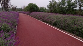 公路