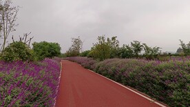 公路