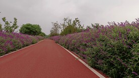 公路