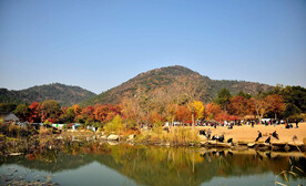 天平山秋天