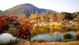 天平山秋天