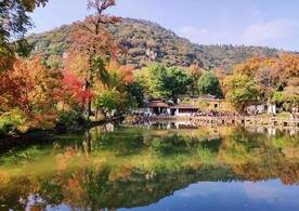 天平山秋天