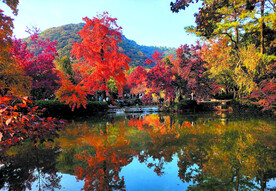 天平山秋天