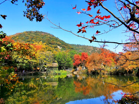 天平山秋天