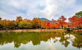 天平山秋天