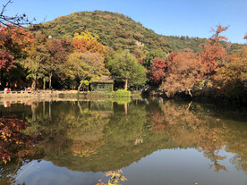 天平山秋天