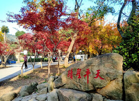 天平山秋天