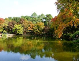 天平山秋天