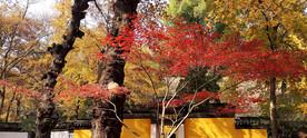天平山秋天
