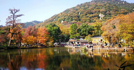 天平山秋天