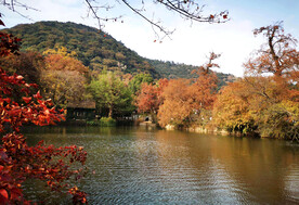 天平山秋天