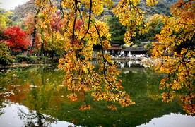 天平山秋天
