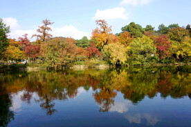 天平山秋天