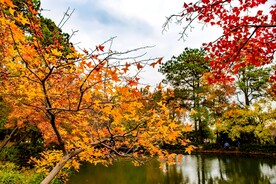 天平山秋天