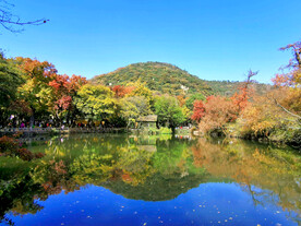 天平山秋天