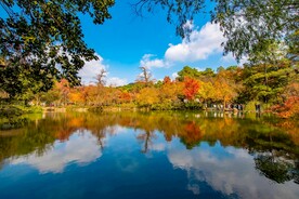 天平山秋天