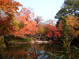天平山秋天