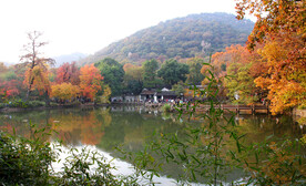 天平山秋天