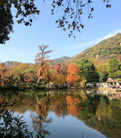 天平山秋天