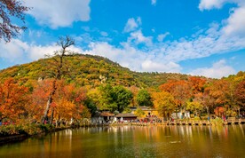 天平山秋天