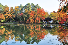 天平山秋天
