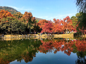 天平山秋天