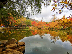 天平山秋天