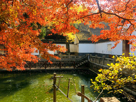 天平山秋天