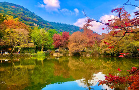 天平山秋天