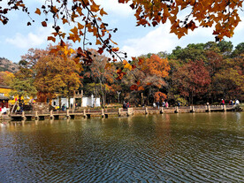 天平山秋天