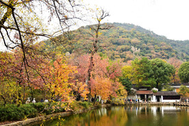 天平山秋天