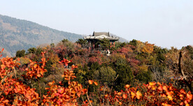 北京香山秋天