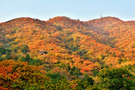 香山秋天