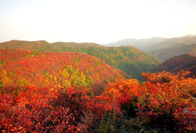 香山秋天