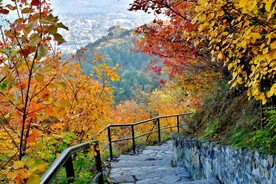 香山秋天