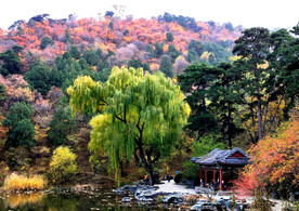 香山秋天