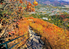 香山秋天