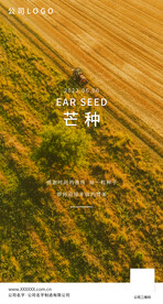 芒种图片